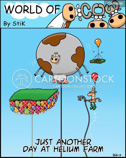 Inflated Livestock Cartoons and Comics - funny pictures from CartoonStock