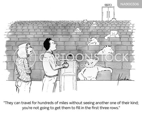 bear cartoon with bears and the caption "They can travel for hundreds of miles without seeing another one of their kind; you're not going to get them to fill in the first three rows." by Kendra Allenby