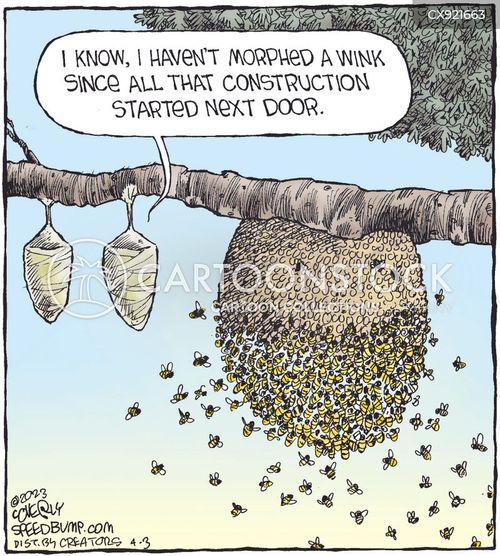 Honeycombs Cartoons and Comics - funny pictures from CartoonStock