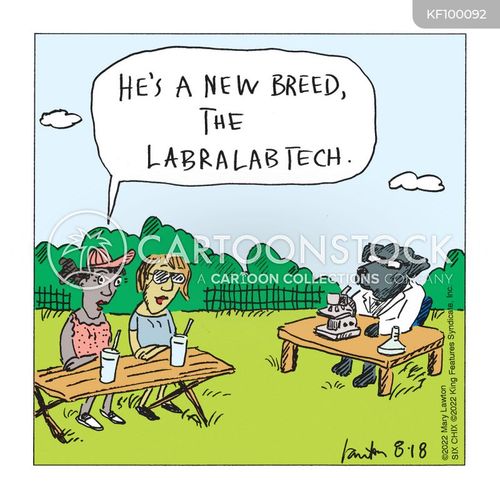 https://images.cartoonstock.com/lowres/animals-breed-dog_breed-dog_breeder-lab-labrador-KF100092_low.jpg