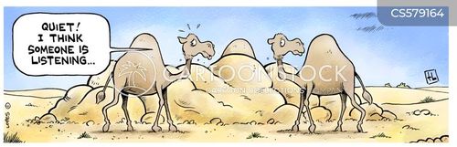 Camel Hump Cartoons and Comics - funny pictures from CartoonStock