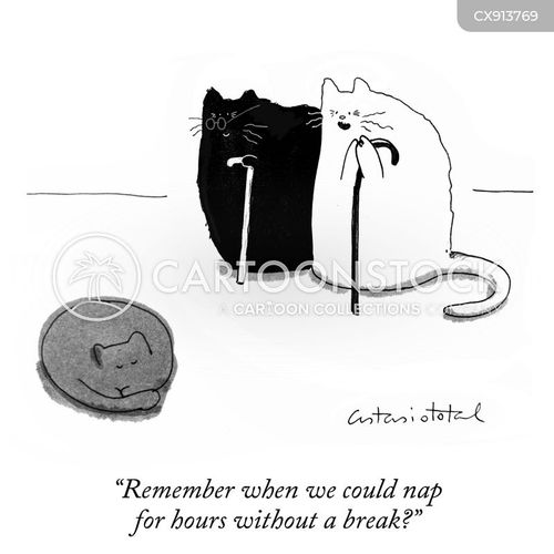 Old Cat Cartoons and Comics - funny pictures from CartoonStock