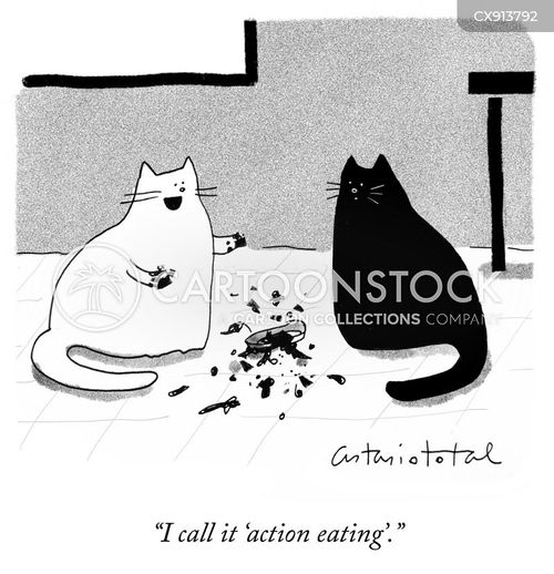 Cat Bowl Cartoons and Comics - funny pictures from CartoonStock