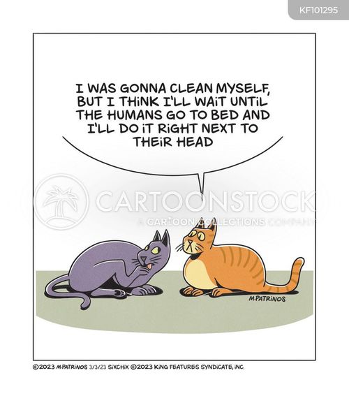 Night Routine Cartoons and Comics - funny pictures from CartoonStock