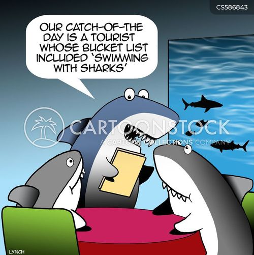 scuba shark cartoon