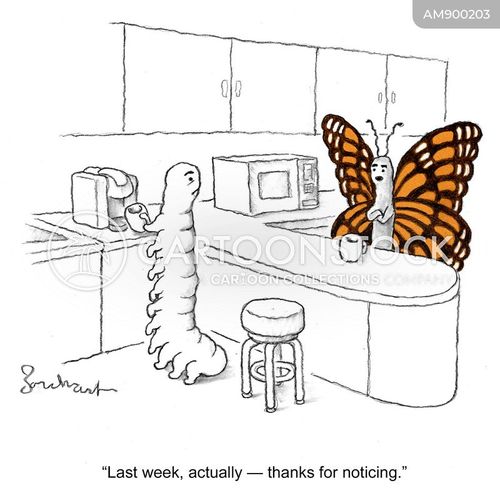 Makeover Transformation Cartoons and Comics - funny pictures from ...