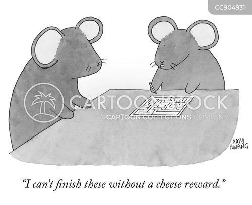 Cheese Reward Cartoons and Comics - funny pictures from CartoonStock