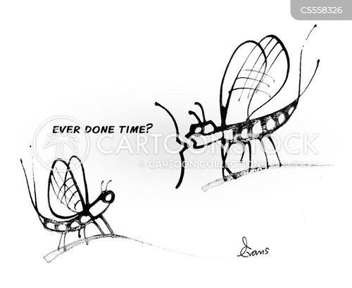 Winged Insects Cartoons and Comics - funny pictures from CartoonStock