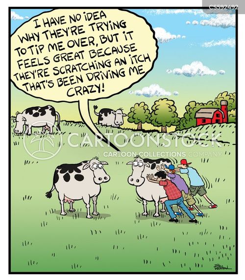 Cow Tipping Cartoons and Comics - funny pictures from CartoonStock