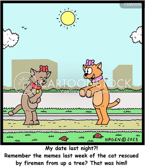 Funny Animated Cat Memes