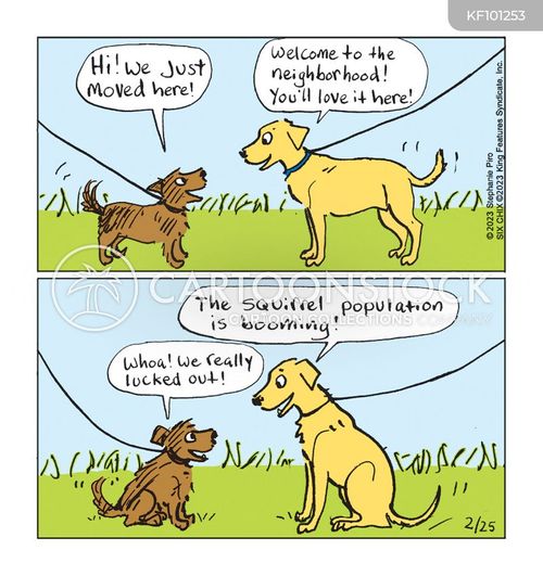 Dog 2024 comics funny