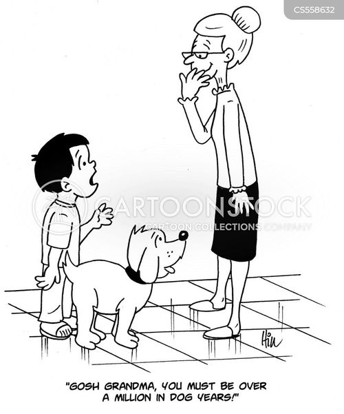 Canine Years Cartoons and Comics - funny pictures from CartoonStock