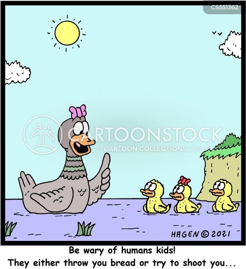 funny cartoon ducks