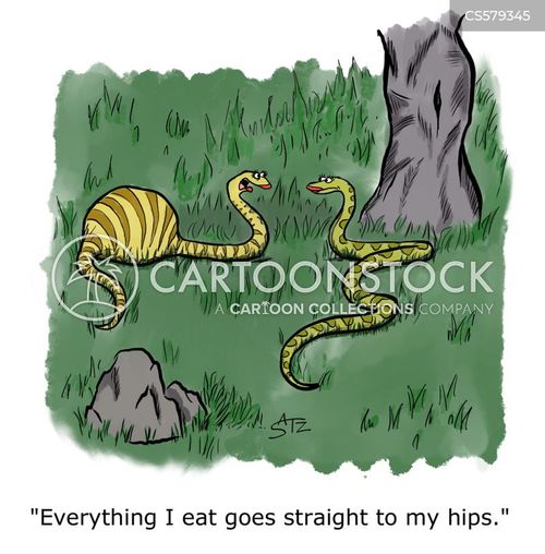 Snake Diets Cartoons and Comics - funny pictures from CartoonStock