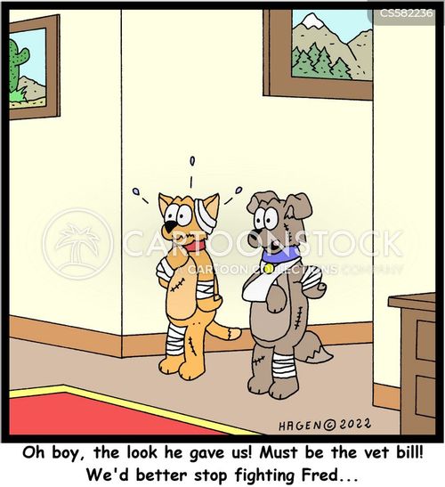 Cat And Dog Fight Cartoons and Comics - funny pictures from CartoonStock