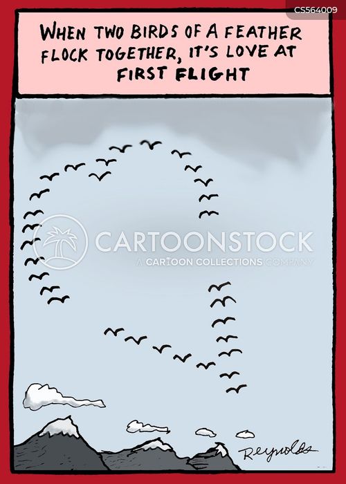 Birds Of A Feather Cartoons and Comics - funny pictures from CartoonStock