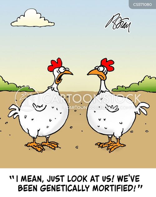 mean chicken cartoon images