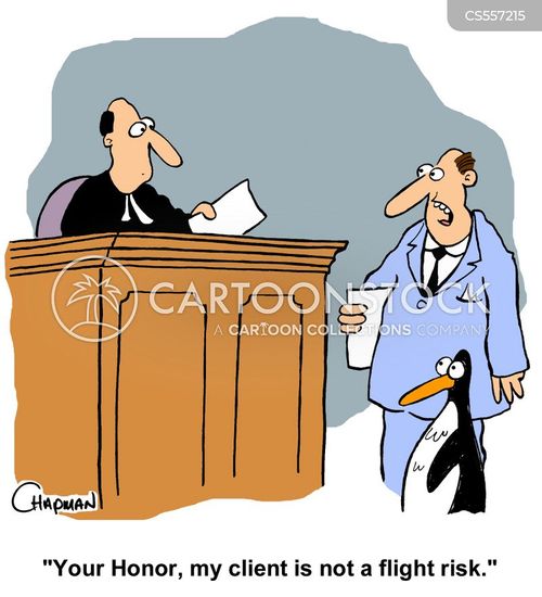 Flight Risks Cartoons and Comics - funny pictures from CartoonStock