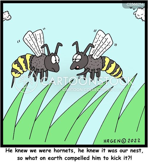 kicking the hornets nest cartoon with hornet and the caption "He knew we were hornets, he knew it was our nest, so what on earth compelled him to kick it?!" by Hagen