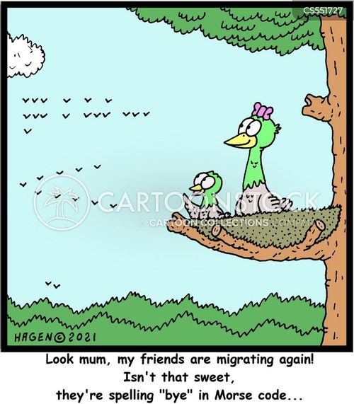 Morse Code Cartoons and Comics - funny pictures from CartoonStock