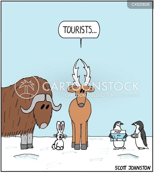 Antarctica Wildlife Cartoons and Comics - funny pictures from CartoonStock