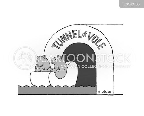 small boat cartoon with ride and the caption Tunnel of Vole. by Randy Mulder