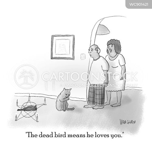 Dead Birds Cartoons and Comics - funny pictures from CartoonStock