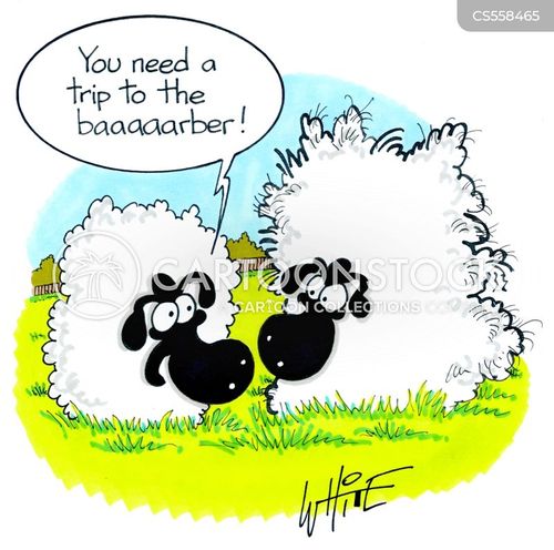 Sheep Shearer Cartoons and Comics - funny pictures from CartoonStock