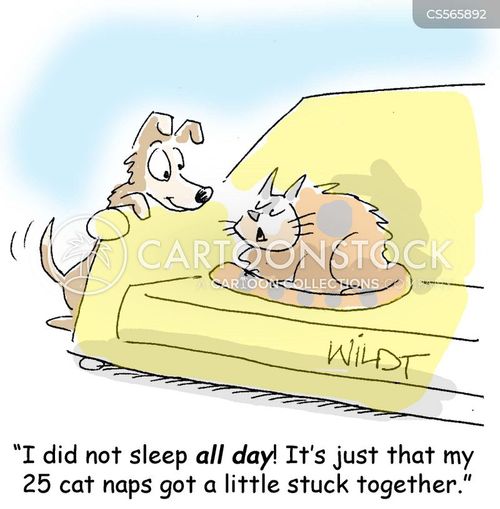 40 Winks Cartoons and Comics - funny pictures from CartoonStock