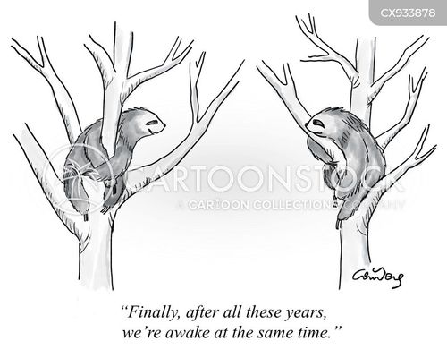 Sloth Awakening Same Time Awake Cartoons and Comics - funny pictures from CartoonStock