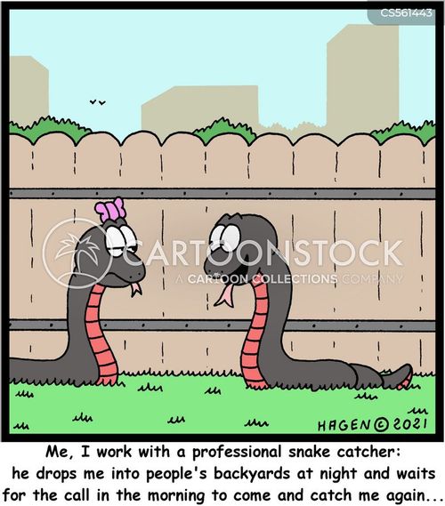 funny snakes with captions