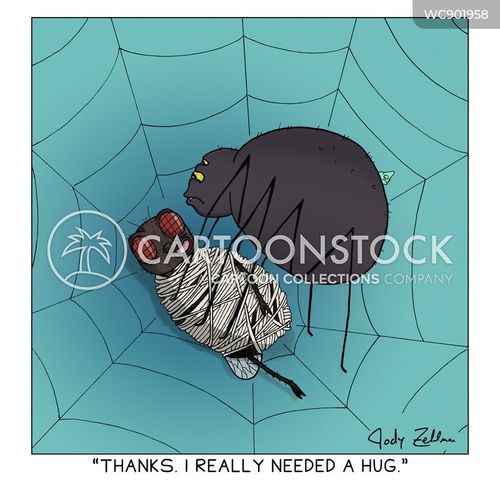 misunderstood spider hug