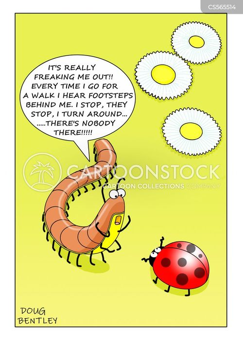 Insect Species Cartoons and Comics - funny pictures from CartoonStock