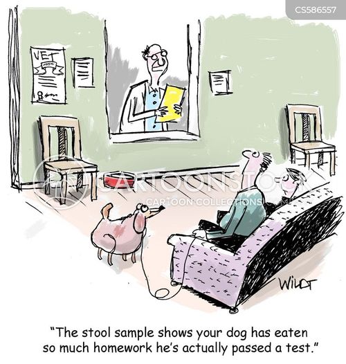 vet cartoon with vets and the caption "The stool sample shows your dog has eaten so much homework he's actually passed a test." by Chris Wildt