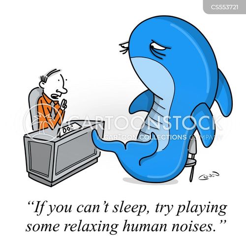 Whale Noises Cartoons and Comics - funny pictures from CartoonStock