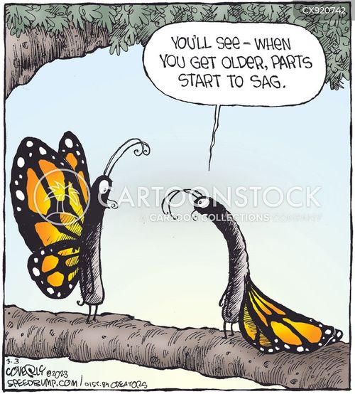 Butterfly Migration Cartoons and Comics - funny pictures from