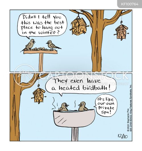 Bird Watching Equipment Cartoons and Comics - funny pictures from ...