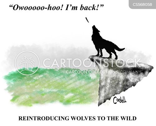 return home cartoon with wolf and the caption Reintroducing wolves to the wild. by Tim Cordell