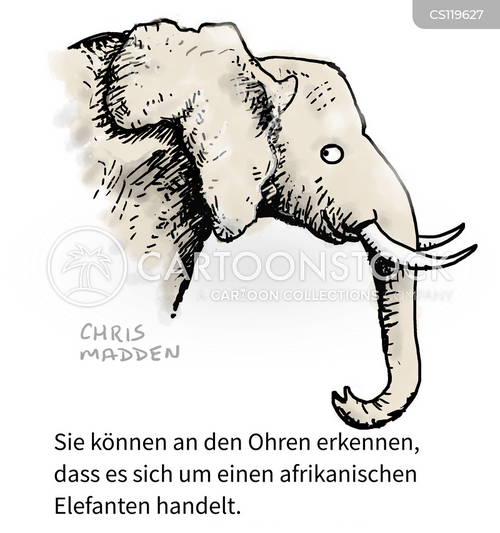 Cartoons und Karikaturen mit Elefantenohr