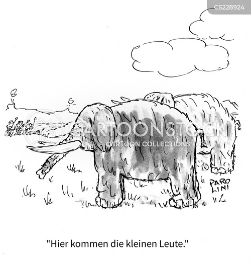 eiben bogen DER REBEL-BOGEN, 44@28, KLARES GLAS, BAMBUS UND EIBE – Fairbow