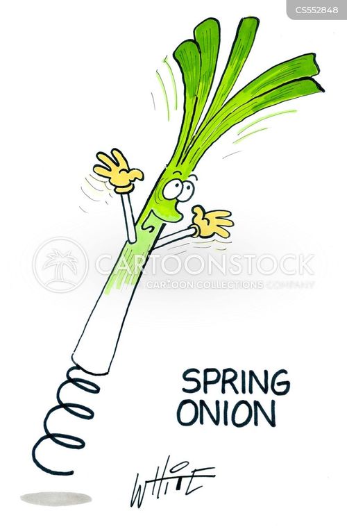onion cartoon funny