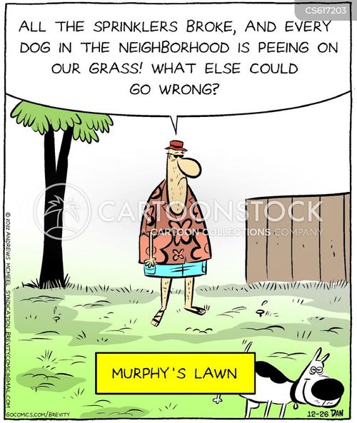 Murphy's Law Poster – Funny Jokes Illustration – 24x36 Inches Rare Hot New