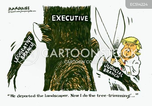 Government Function Cartoons and Comics - funny pictures from CartoonStock
