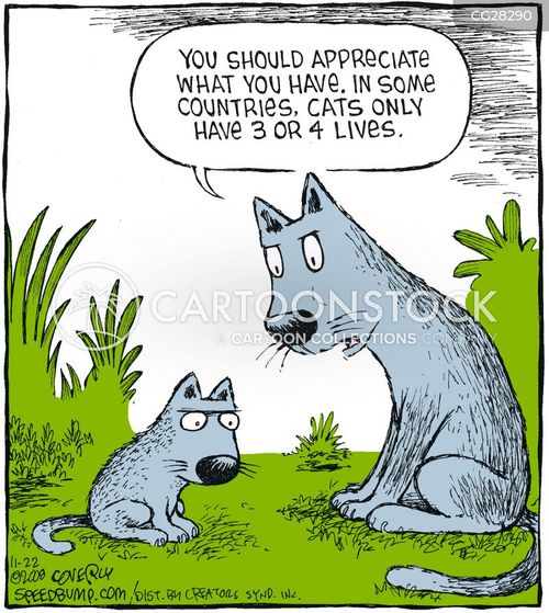 Cat Appreciation Cartoons and Comics - funny pictures from CartoonStock