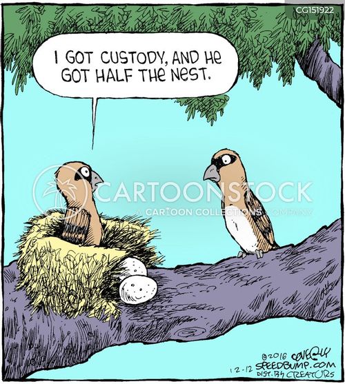 Marital Dissolution Cartoons and Comics - funny pictures from CartoonStock