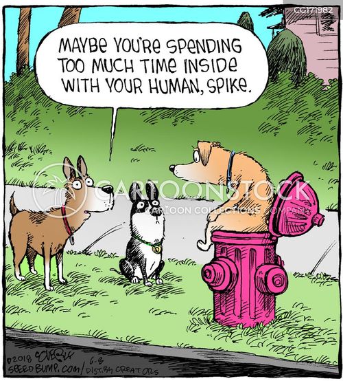 Fire Hydrant Cartoons and Comics - funny pictures from CartoonStock