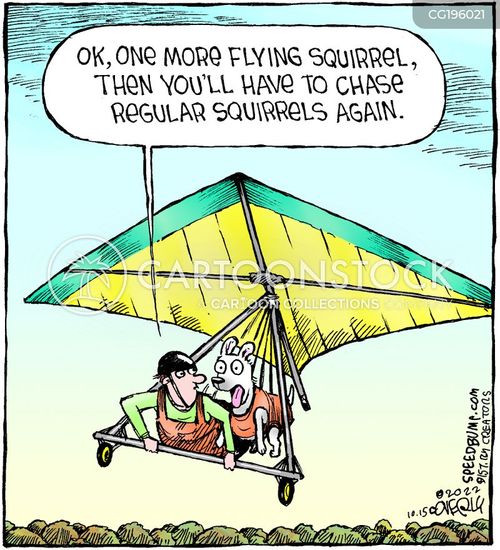 Hang-glide Cartoons and Comics - funny pictures from CartoonStock