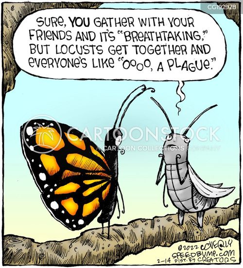 Sand Flies Cartoons and Comics - funny pictures from CartoonStock