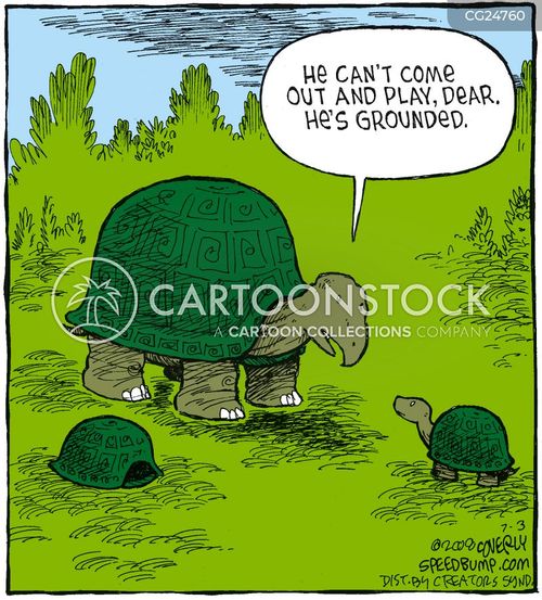 Turtle Cartoons and Comics - funny pictures from CartoonStock