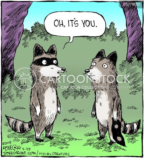 Racoon Cartoons and Comics - funny pictures from CartoonStock